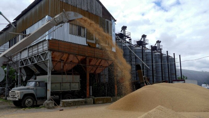 Урожай украинского зерна может сократиться в два раза